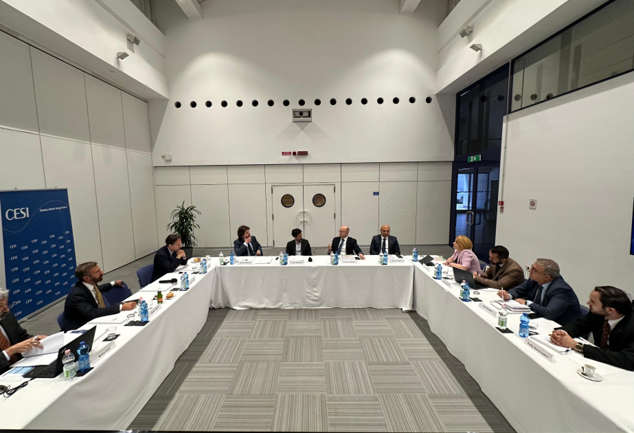 "CESI" şirkətinin icraçı direktoru ilə “yaşıl enerji dəhlizi” üzrə əməkdaşlıq müzakirə olunub