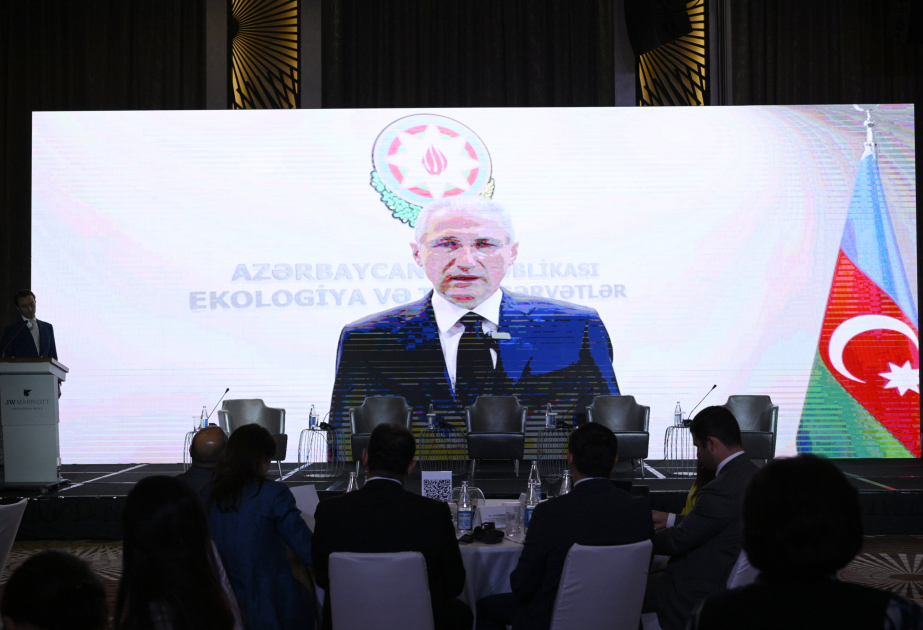 Mukhtar Babayev: We need to choose reliable transition pathways supported by financial plans, budgets and targets