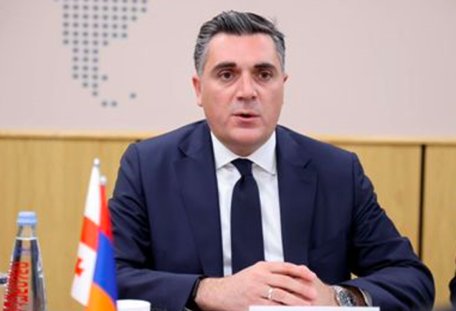 El Ministro de Asuntos Exteriores de Georgia: “Georgia apoya completamente la convivencia en paz en la Transcaucásica”
