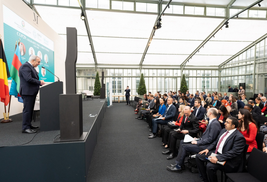 Brüsseldə “COP29: Yaşıl dünya naminə həmrəylik” adlı konfrans təşkil olunub
