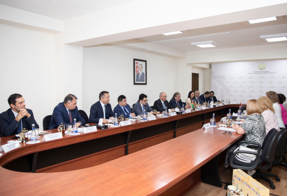 DSMF sədri Belarusun ƏSMF rəhbəri ilə əməkdaşlıq perspektivini müzakirə edib