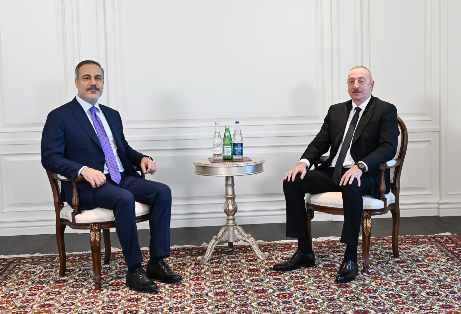 President Ilham Aliyev received Turkish Foreign Minister Hakan Fidan VIDEO