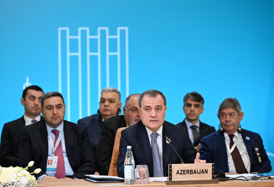 Министр: Азербайджан - наиболее заинтересованная сторона в устойчивом и прочном мире