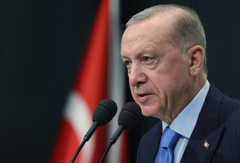 Erdoğan justifica el gesto de Demiral y lo equipara a otros "símbolos nacionales" de Alemania y Francia