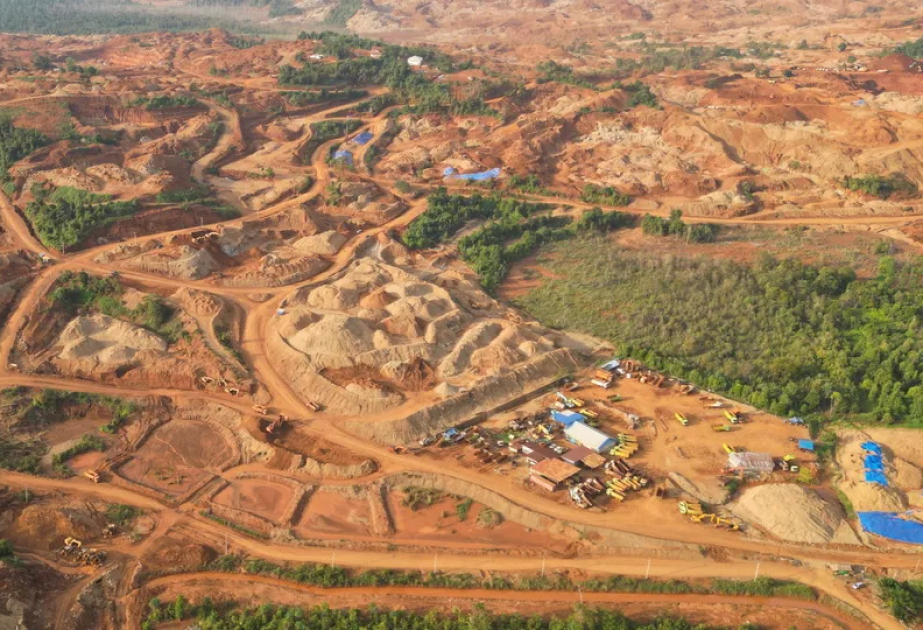 Indonesien: Mehr als 700.000 Hektar Wald für Bergbau gerodet