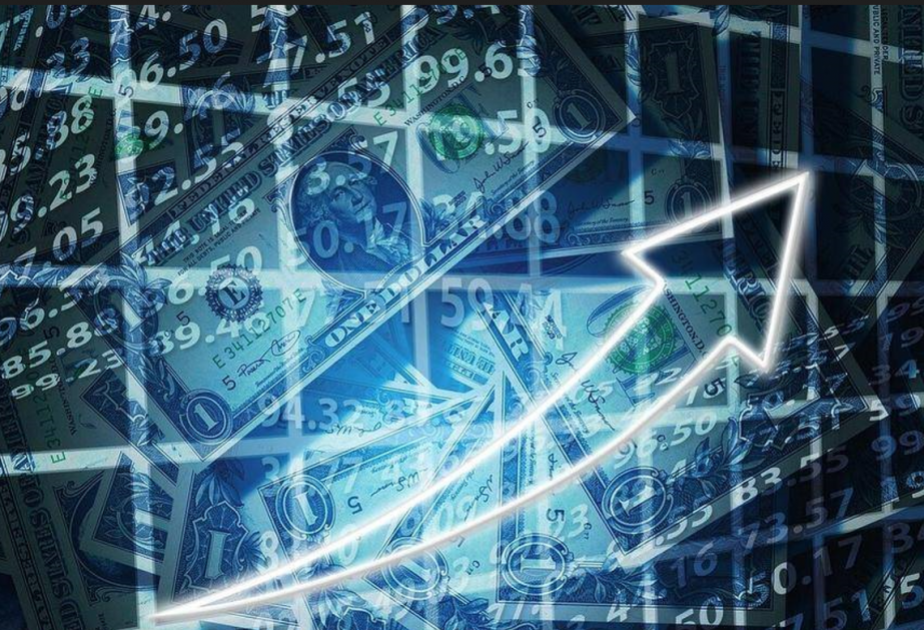 Gürcüstanın ümumi xarici borcu 24,5 milyard ABŞ dolları təşkil edib