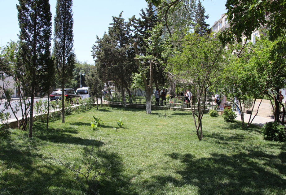 Səbail rayonunda “Yaşıl ərazi” sakinlərin istifadəsinə verilib