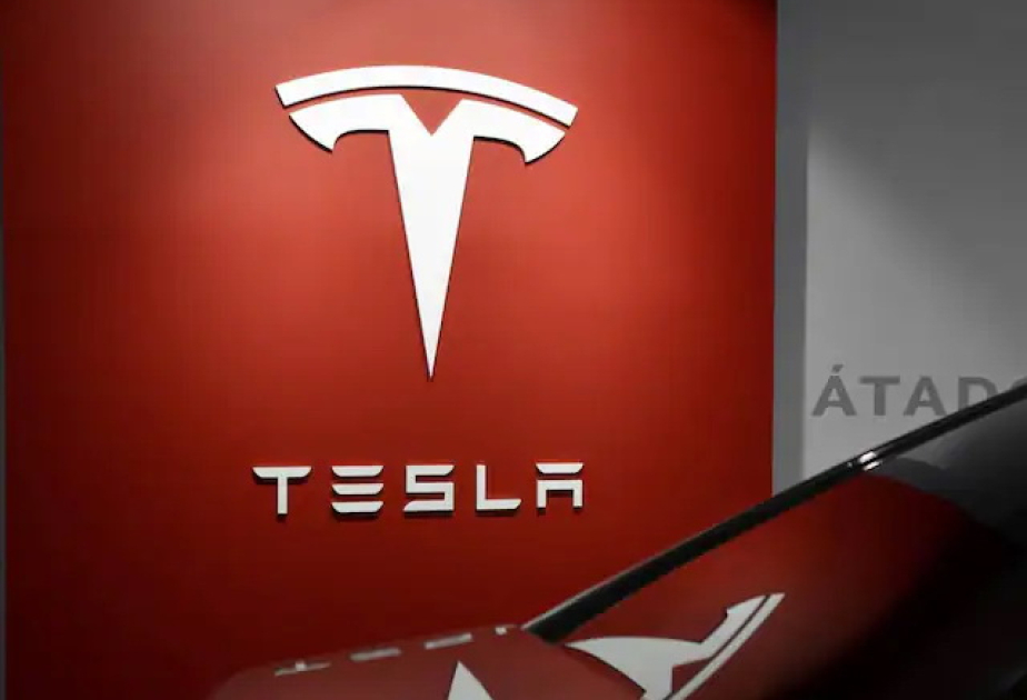 Tesla tritt als neuer Teilnehmer im chinesischen öffentlichen Beschaffungswesen auf
