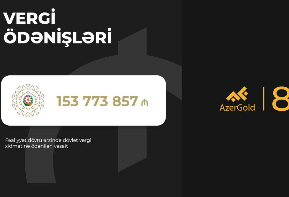 ЗАО AzerGold: прибыльная деятельность с первых лет существования, растущие доходы