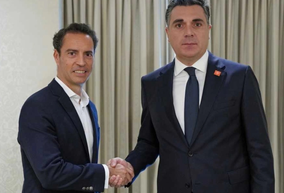Gürcüstan və NATO rəsmiləri regiondakı vəziyyəti müzakirə ediblər