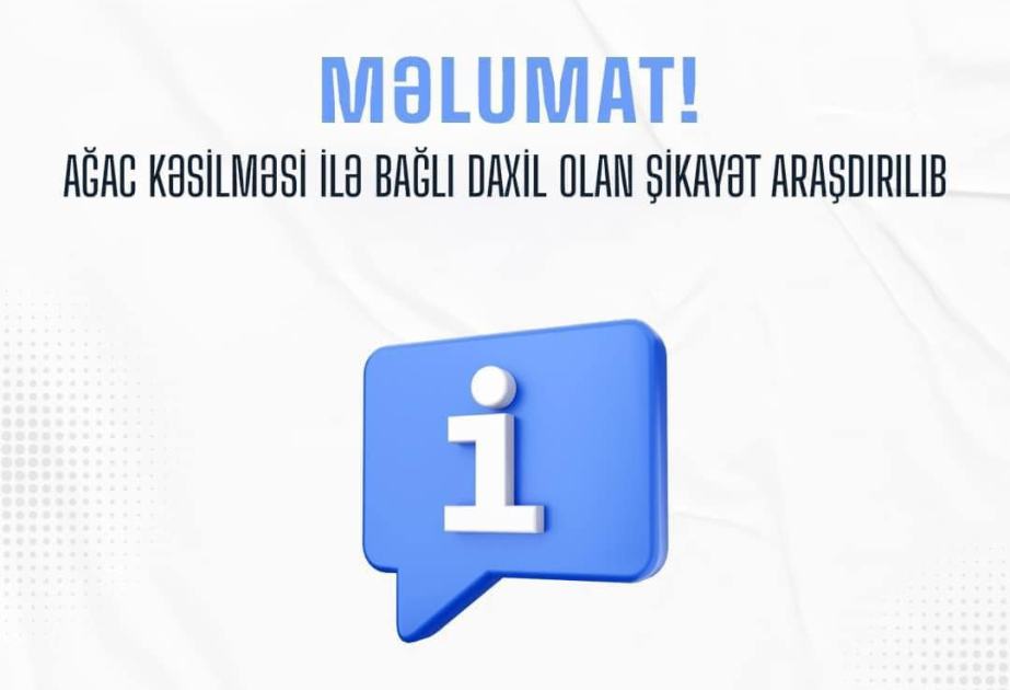 Bakıda ağac kəsilməsi ilə bağlı şikayət yerində araşdırılıb