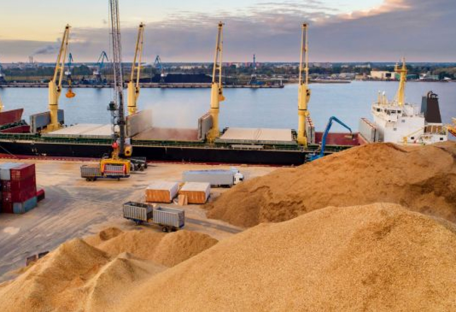 Украина активно наращивает морской экспорт через порты Одесской области