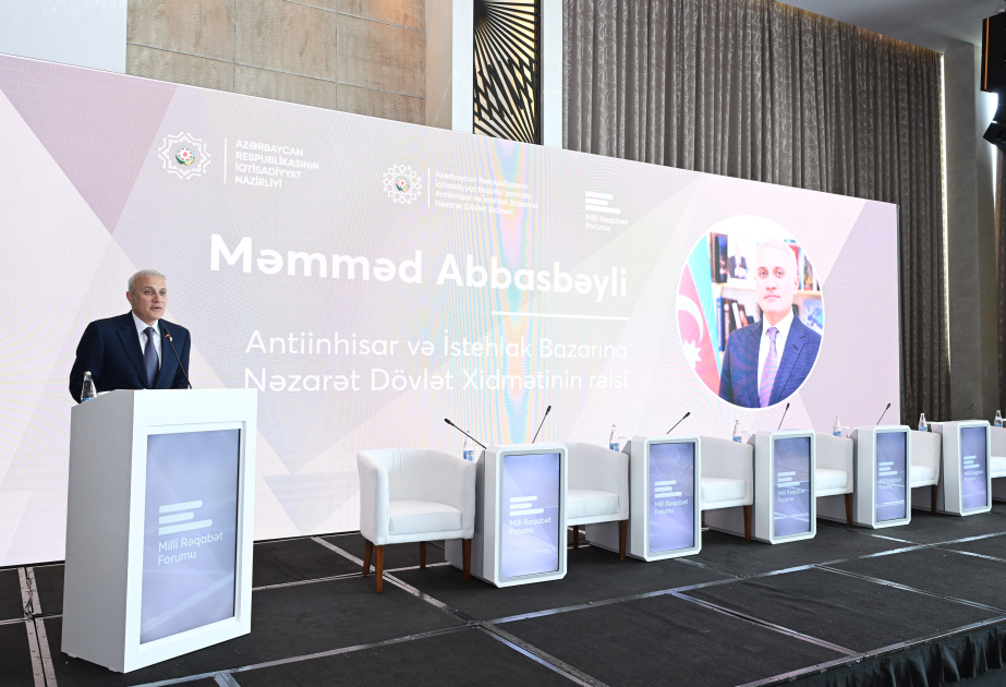 Məmməd Abbasbəyli: Milli Fəaliyyət Planı Azərbaycan hökuməti tərəfindən təsdiqlənmə mərhələsindədir