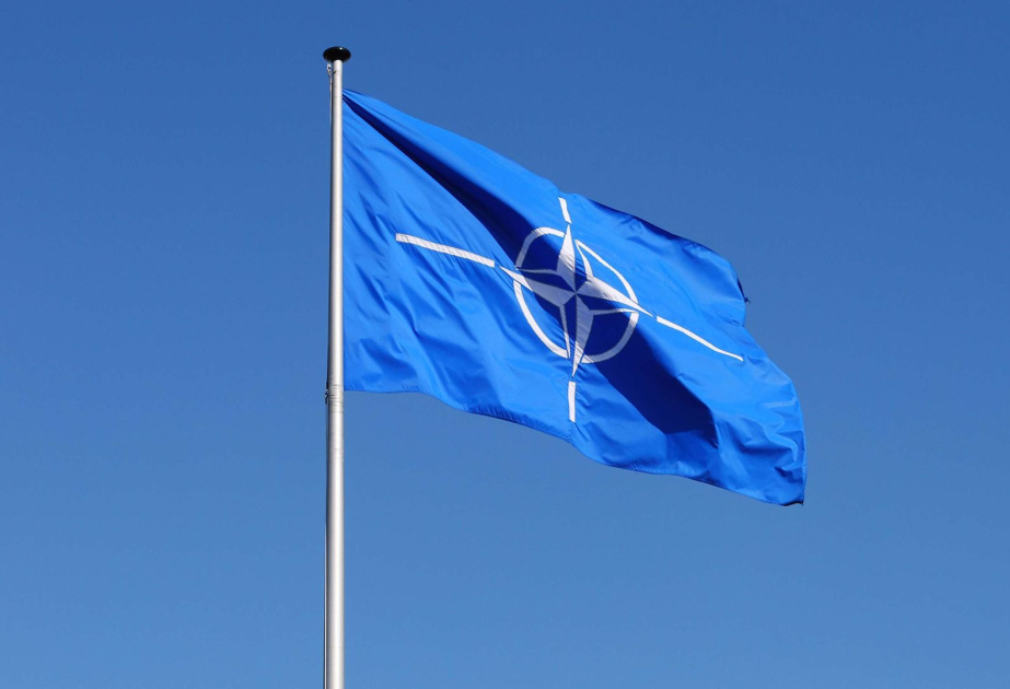 NATO büdcəsinə ən çox töhfə verən ölkələr açıqlanıb