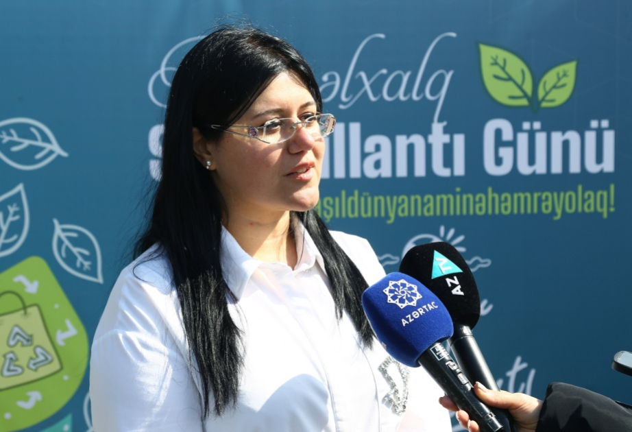 В Абшеронском национальном парке продемонстрируют изделия ручной работы из отходов