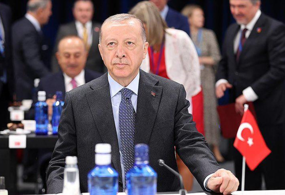 El presidente turco comentó el armamento de Francia a Armenia