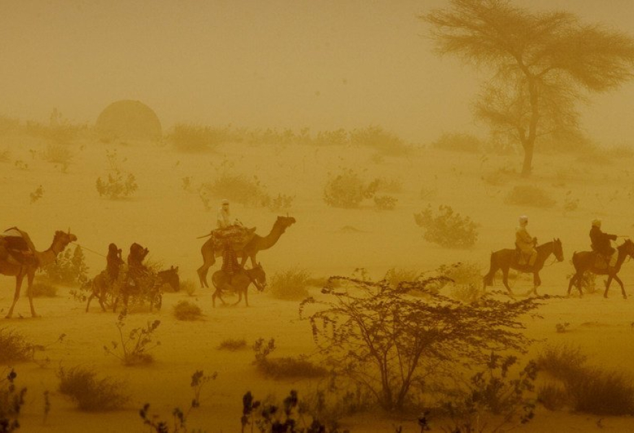 L’OMM : Légère baisse de la quantité de poussière dans l’atmosphère en 2023