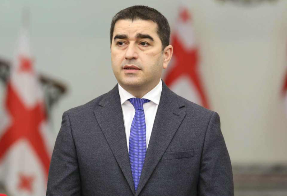 Şalva Papuaşvili: Gürcüstan hökuməti heç bir xarici dövlətin maraqlarına xidmət etmir