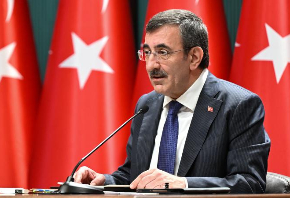 Vitse-prezident: Türkiyə demokratiyaya hücumların əleyhinədir
