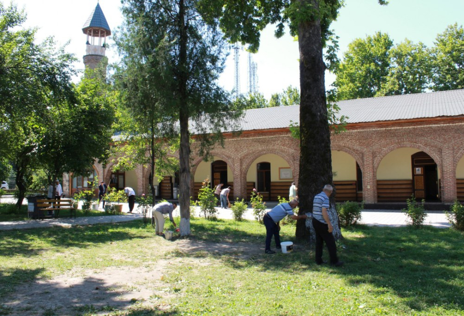 “Yaşıl gələcək naminə” yaşıllaşdırma aksiyası Oğuz və Qəbələ rayonlarında davam etdirilib