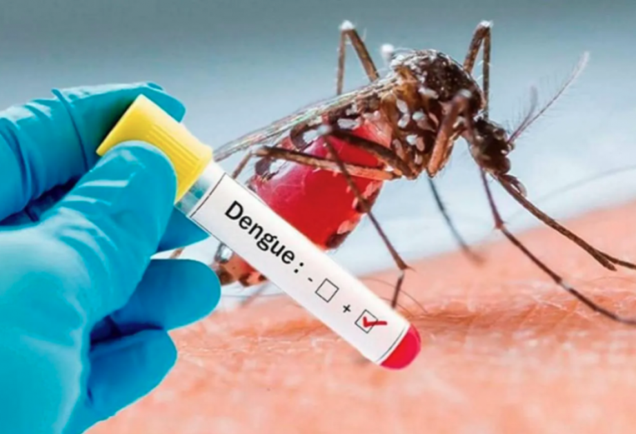 Argentina logs 520,000 dengue cases