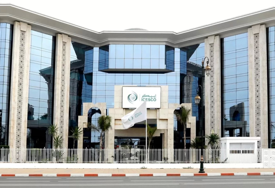 في اليوم العالمي لمهارات الشباب.. الإيسيسكو تدعو إلى الاستفادة من الطاقات الشابة لبناء مستقبل مشرق