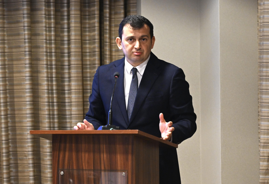 Elgün Səfərov: Ölkəmizdə də sosial şəbəkələrdə uşaq hüquqları ciddi şəkildə pozulur