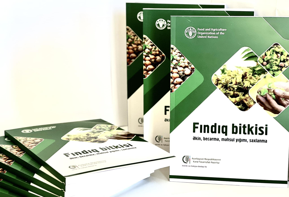Azərbaycanda fındıq bitkisi haqqında yeni kitab nəşr olunub