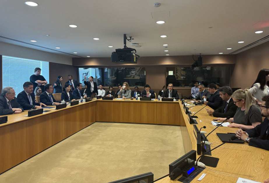 La ONU acoge una conferencia sobre las actividades de seguridad de minas de Azerbaiyán