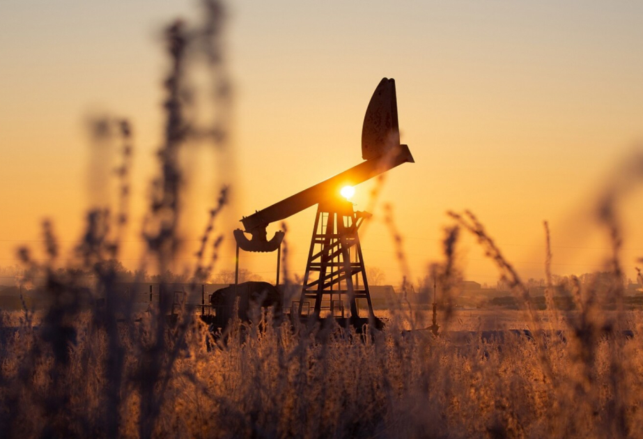 Les cours du pétrole terminent en régression sur les bourses mondiales