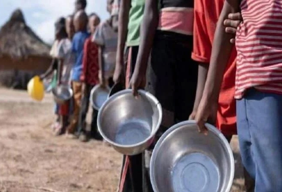 Les pays arabes et africains expriment leur inquiétude face à la grave insécurité alimentaire au Soudan