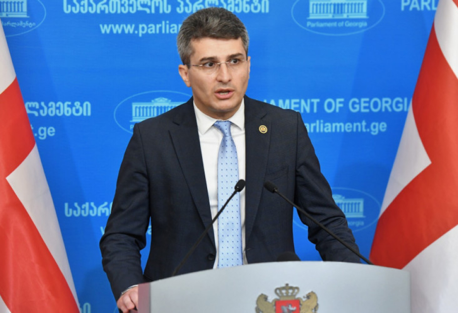 Hakim “Gürcü Arzusu” və “Xalqın gücü” partiyaları parlament seçkilərində vahid siyahı ilə iştirak edəcəklər