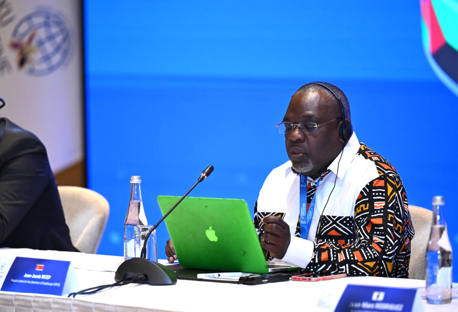 Jean-Jacob Bicep : La France est un pays qui commet des crimes contre ses colonies