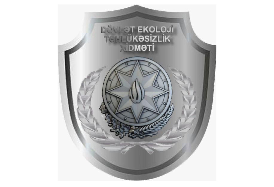 Sumqayıtda sahibsiz iti öldürən şəxs cərimə edilib