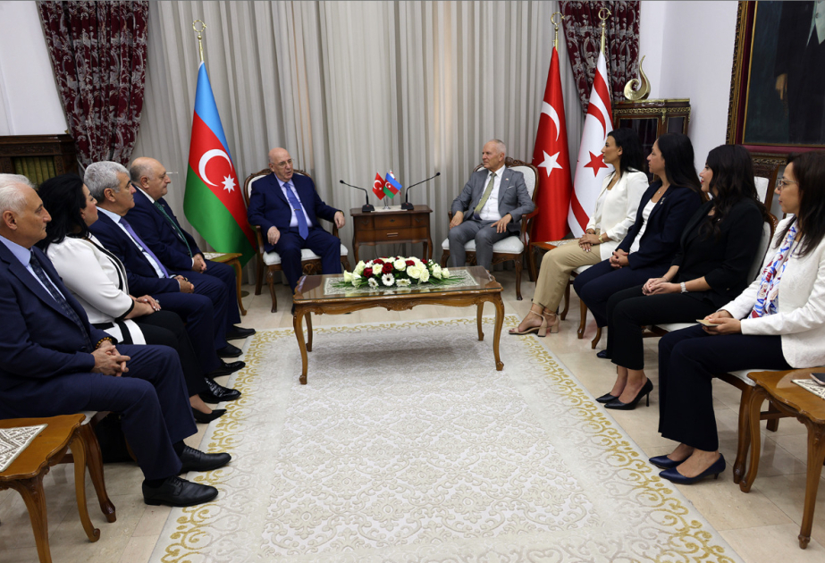 ŞKTC parlamentinin spikeri: Türkiyə olmasaydı, Xocalıda olanlar Kiprdə də baş verərdi VİDEO