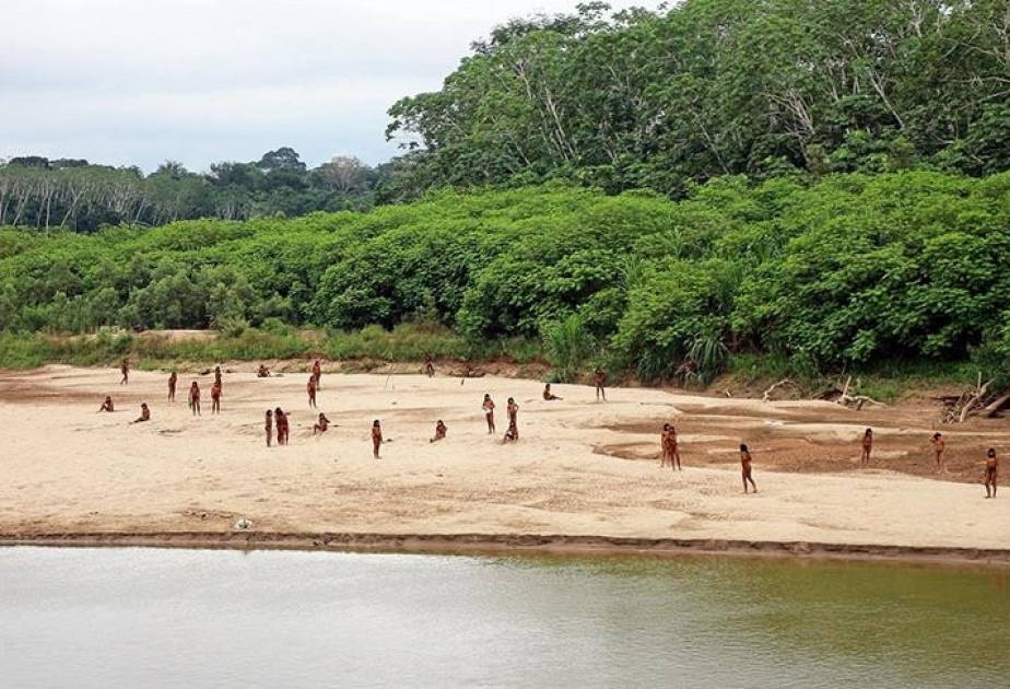 World’s largest uncontacted indigenous tribe spotted evading loggers in Peruvian Amazon