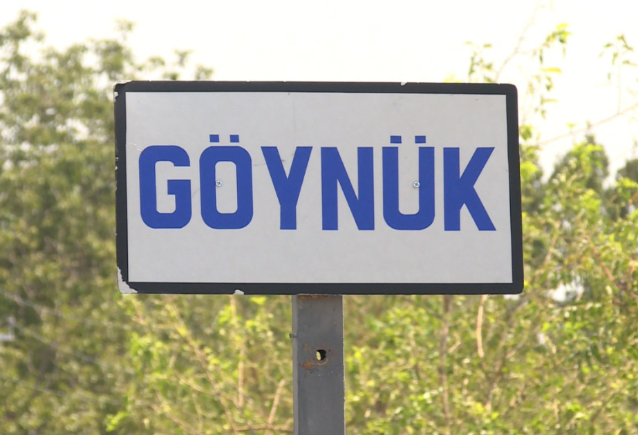 Şəkidə avtomobil iaşə obyektinə çırpılıb, beş nəfər xəsarət alıb