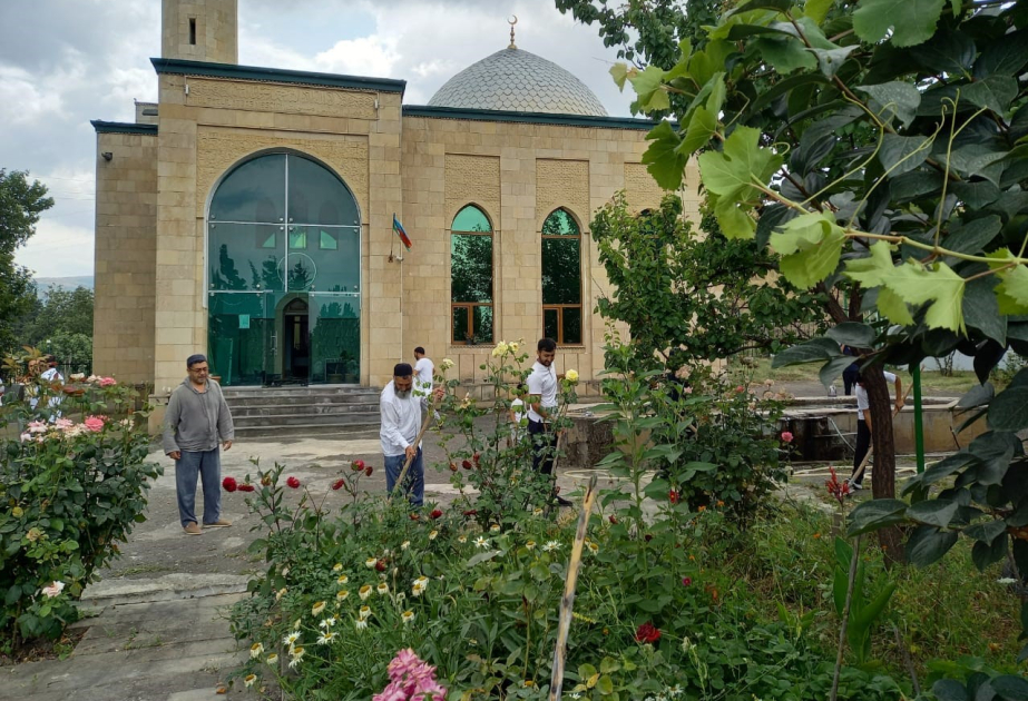 “Yaşıl gələcək naminə” aksiyası davam edir