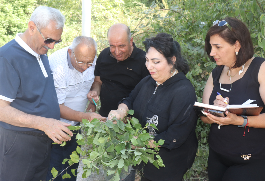Dendrologiya İnstitutu Oxçuçay ətrafına ekspedisiya təşkil edib