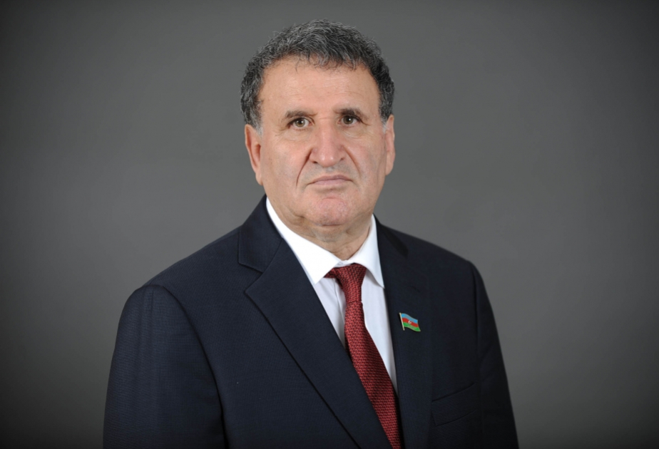 Akademik: Milli Məclisə növbədənkənar seçkilər genişmiqyaslı islahatların həyata keçirilməsinə xidmət edir