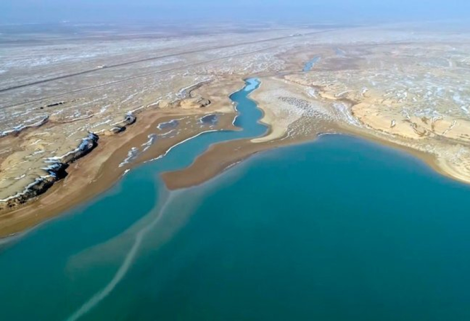 Китай поможет Казахстану создать лесные насаждения на осушенном дне Аральского моря