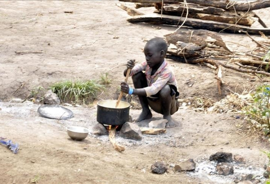 UNICEF : 1 personne sur 11 dans le monde a été confrontée à la faim en 2023