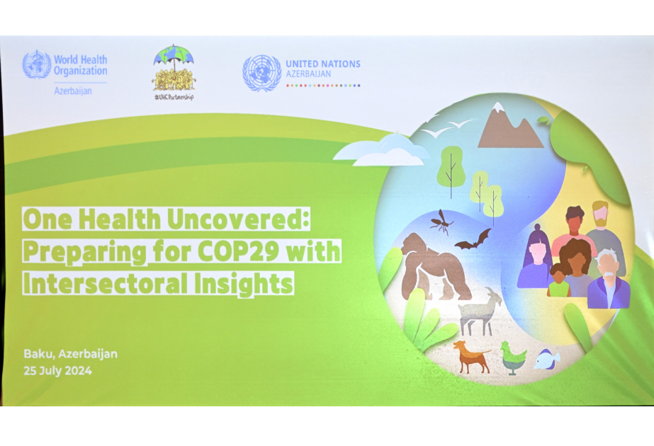 WHO Country Office in Azerbaijan hosts One Health dialogue in preparation for COP29
