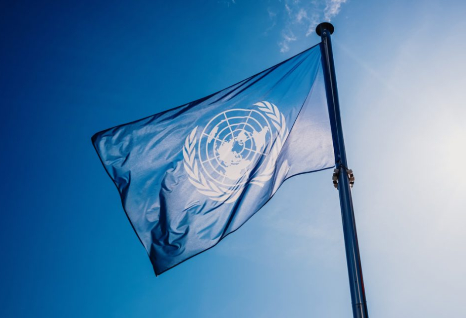 ONU publica informe sobre estado de seguridad alimentaria y nutrición en el mundo