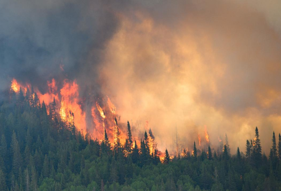 Canada wildfires spread, prompting evacuation alerts, oil production worries
