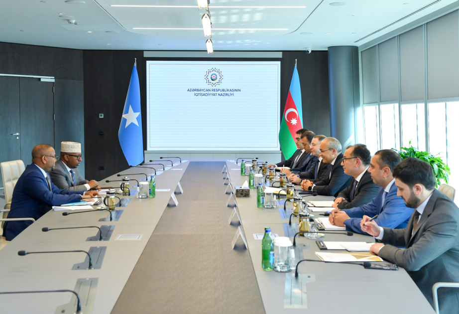 Azərbaycan və Somali energetika sahəsində potensial tərəfdaşlıq imkanlarını müzakirə edib