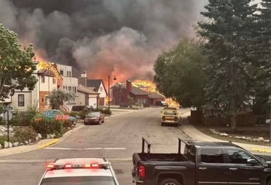 Waldbrand zerstört große Teile der Stadt Jasper