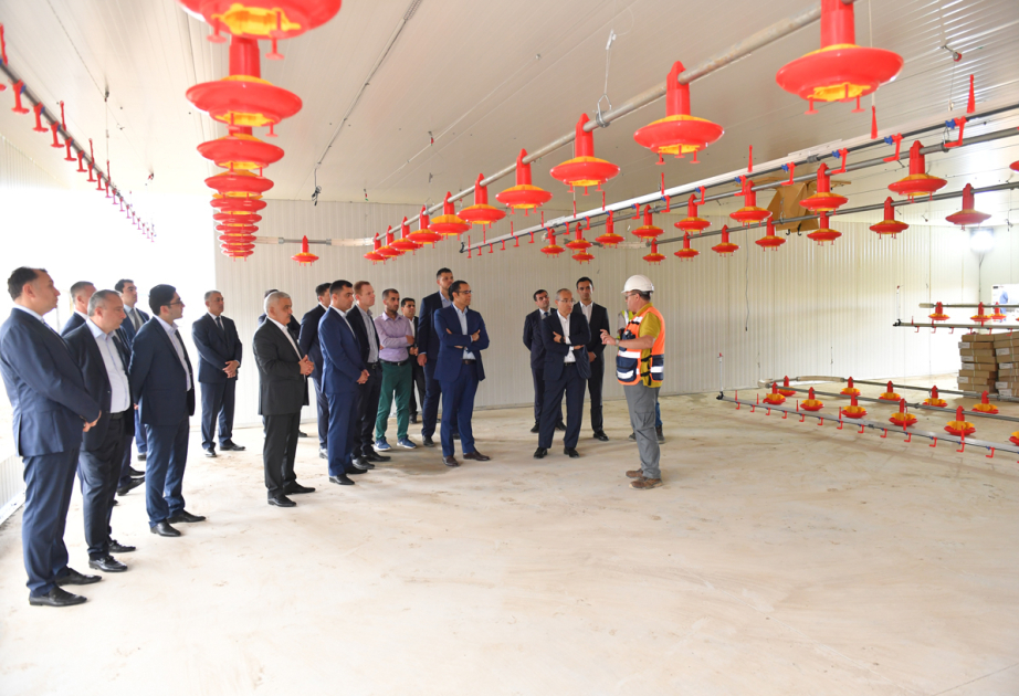 Министр экономики ознакомился с деятельностью предприятий Евлахского пилотного агропарка