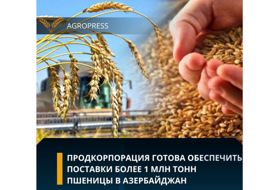 Kazakhstan’s Food Contract Corporation ready to supply 1mln tons of wheat to Azerbaijan