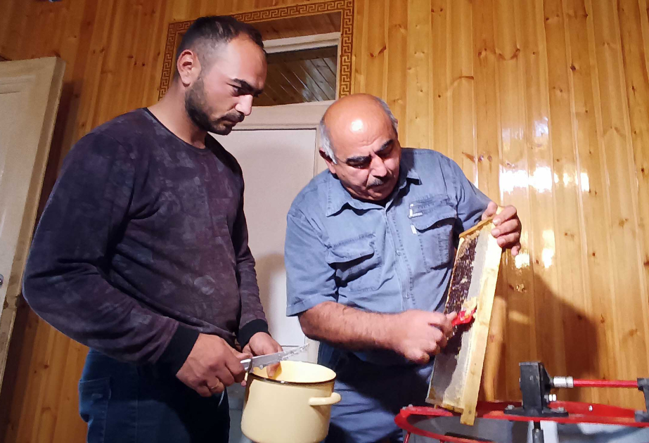 Tovuzun dağlıq Çeşməli kəndində bal süzümündən  REPORTAJ–FOTO VİDEO